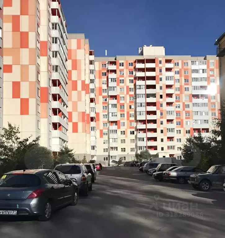 1-к кв. Санкт-Петербург пос. Шушары, Ленсоветовский тер., 13 (38.2 м) - Фото 0