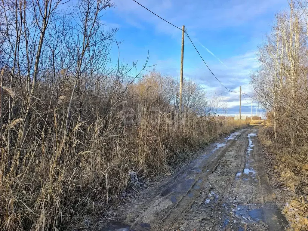 Участок в Тюменская область, Тюмень Садовое товарищество Липовый ... - Фото 1