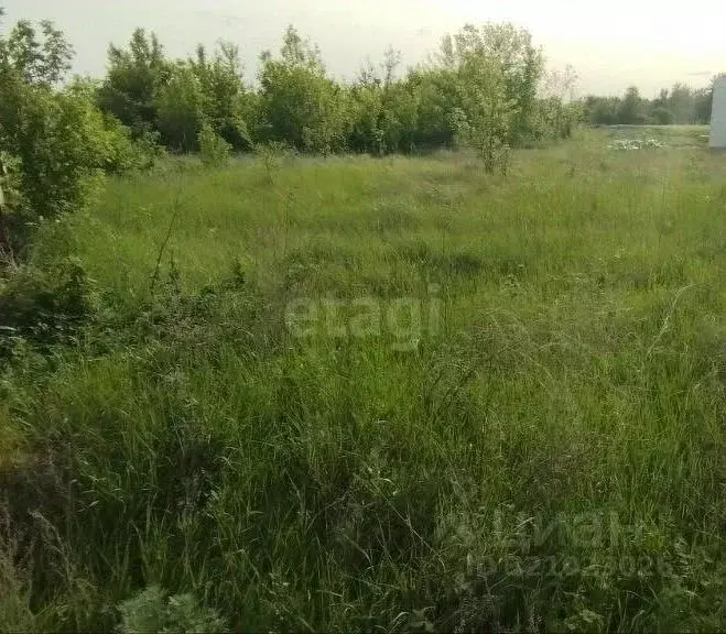 Участок в Белгородская область, Алексеевский муниципальный округ, с. ... - Фото 1