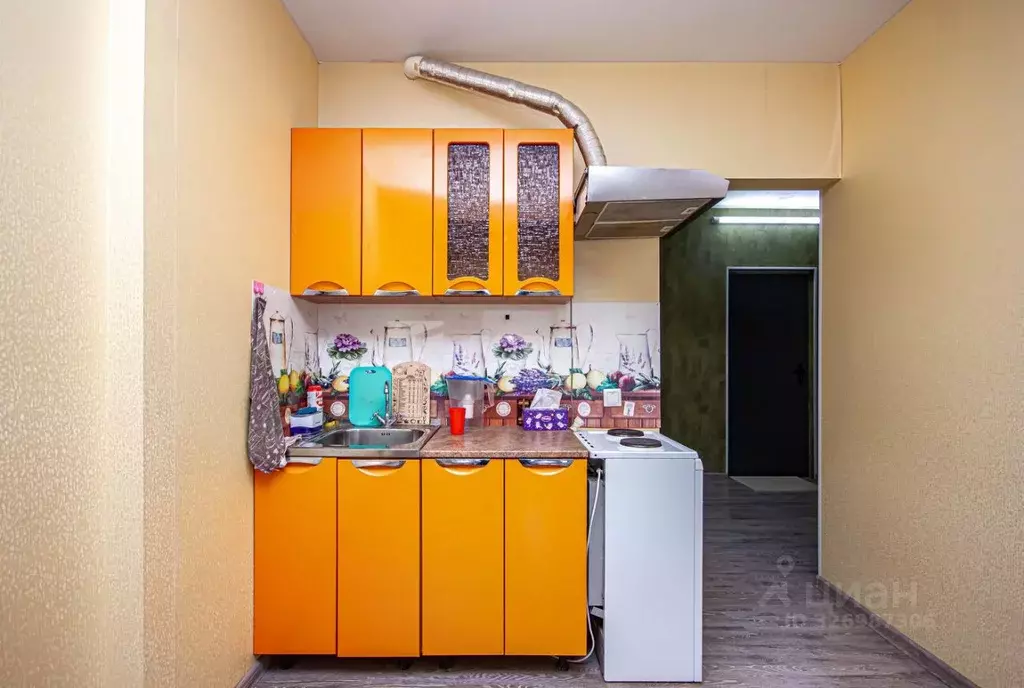 Студия Новосибирская область, Новосибирск Выборная ул., 91/2 (30.0 м) - Фото 2