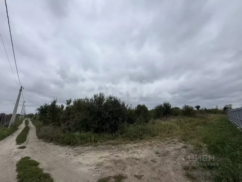 Участок в Воронежская область, с. Семилуки ул. Светлая, 56 (10.0 сот.) - Фото 2