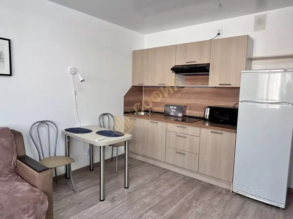 Студия Санкт-Петербург просп. Королева, 64к1 (26.0 м) - Фото 2