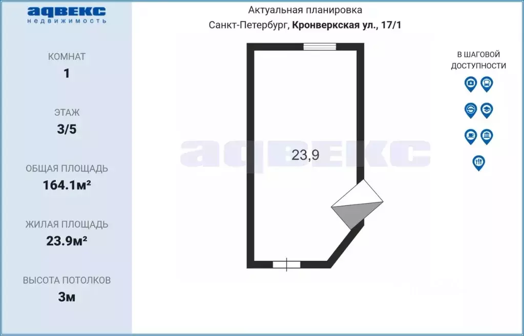 Комната Санкт-Петербург Кронверкская ул., 17/1 (23.9 м) - Фото 1