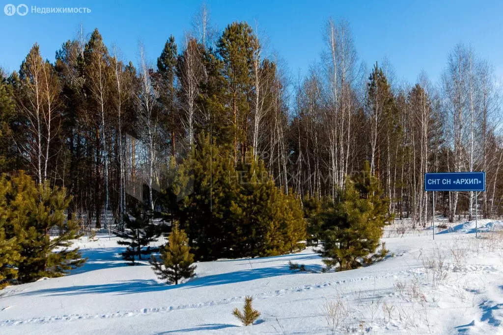 Участок в Тюменский район, посёлок Андреевский (9.57 м) - Фото 1