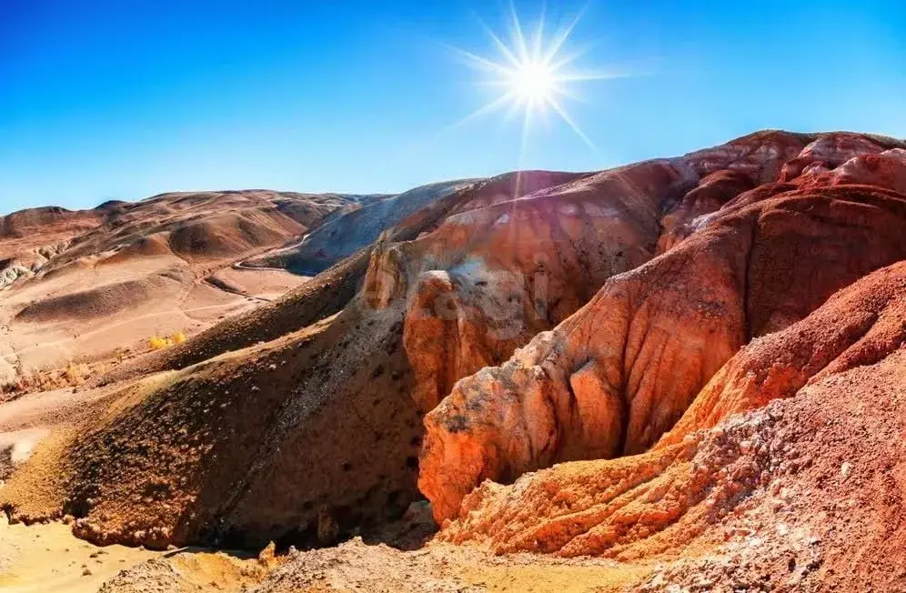 Участок в Алтай, с. Кош-Агач  (14.31 сот.) - Фото 1