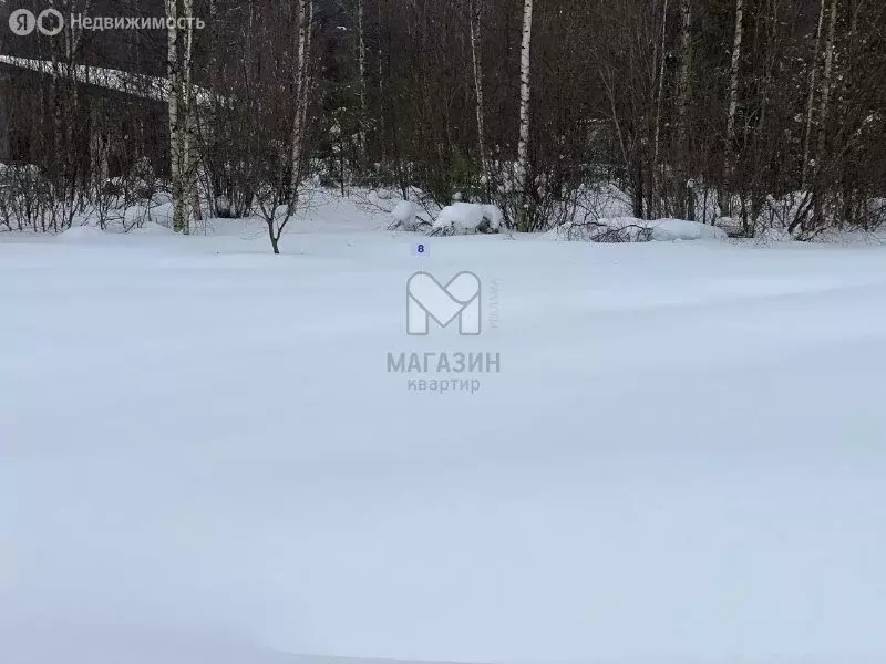 Участок в Всеволожск, улица Ольги Берггольц (6.5 м) - Фото 2