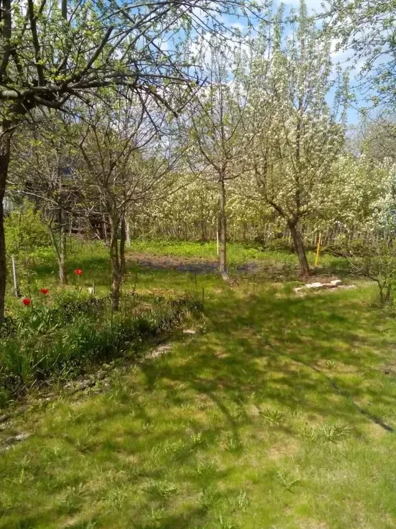 Участок в Нижегородская область, Дальнеконстантиновский муниципальный ... - Фото 1