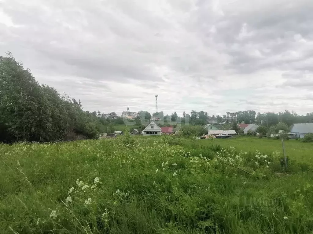 Участок в Вологодская область, Череповецкий район, с. Мякса  (15.0 ... - Фото 1