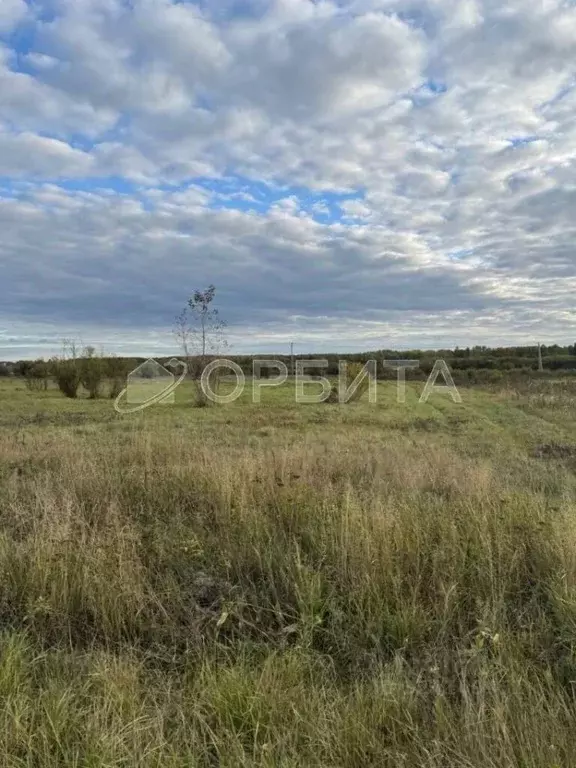 Участок в Тюменская область, Тюмень  (6.6 сот.) - Фото 1