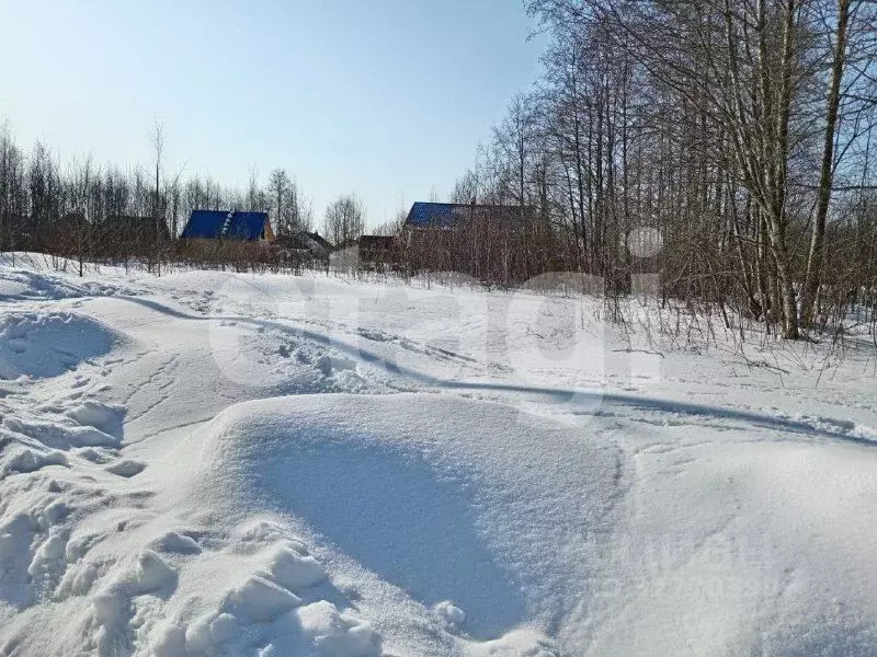 Участок в Вологодская область, Череповецкий район, д. Ирдоматка  ... - Фото 2