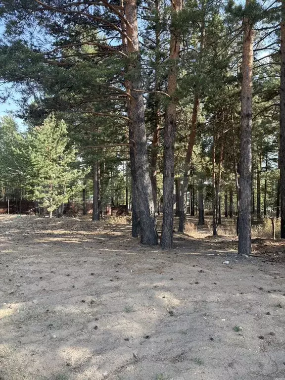 Участок 8 сот. (ИЖС) - Фото 0