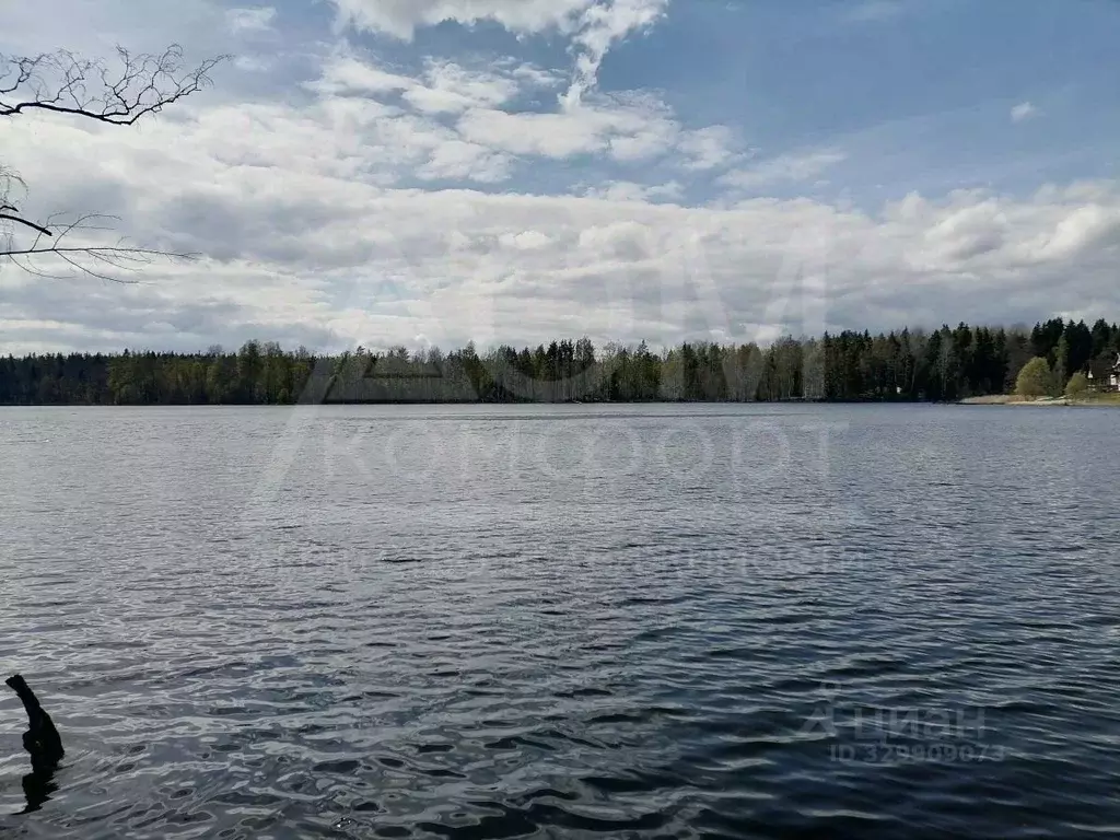Участок в Ленинградская область, Приозерское городское поселение, пос. ... - Фото 2