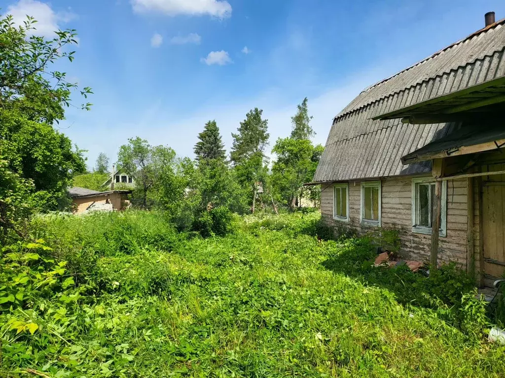 Участок 6,3 сот. (СНТ, ДНП) - Фото 1