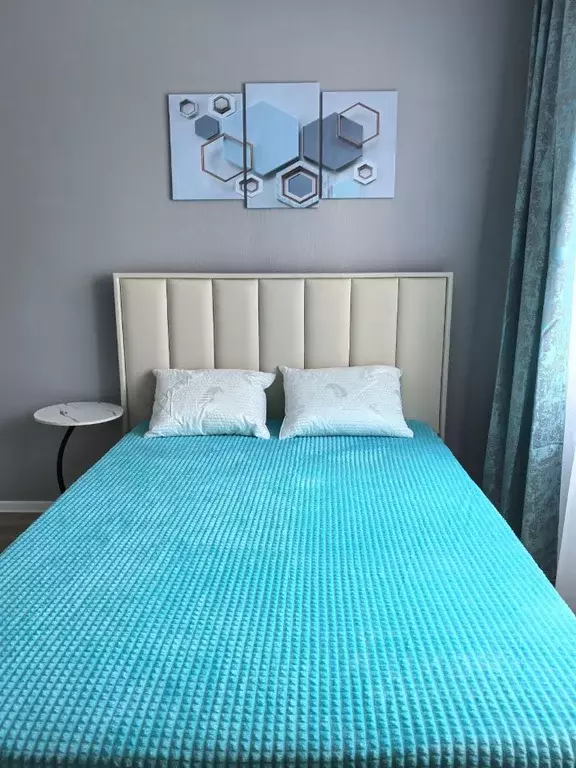 Студия Санкт-Петербург ул. Пахомовская, 14к2 (21.0 м) - Фото 2