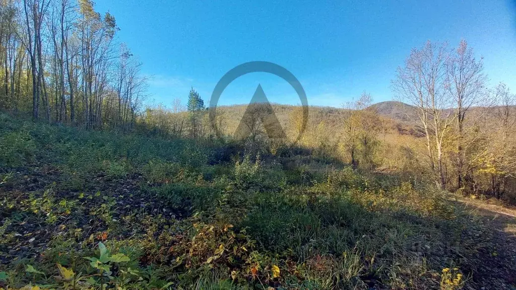 Участок в Краснодарский край, Туапсинский муниципальный округ, ... - Фото 2