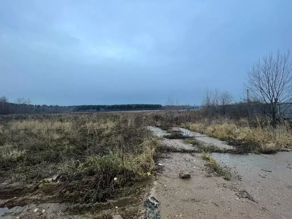 Участок в Московская область, Химки городской округ, д. Поярково, ... - Фото 1