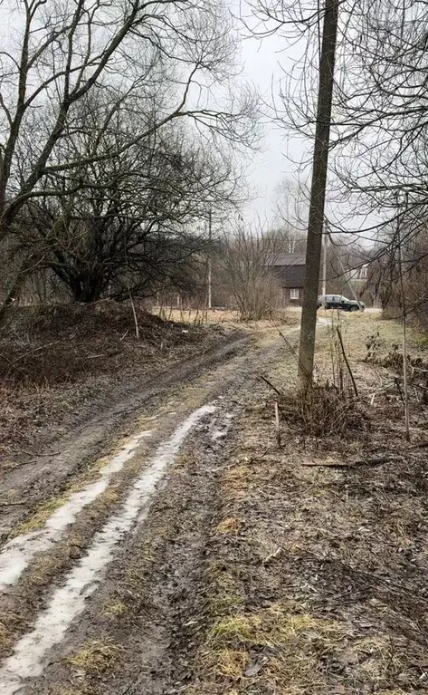 Участок в Калужская область, Козельский муниципальный округ, Попелево ... - Фото 2