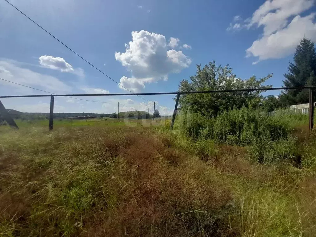 Участок в Саратовская область, Балашовский район, Пинеровское ... - Фото 1