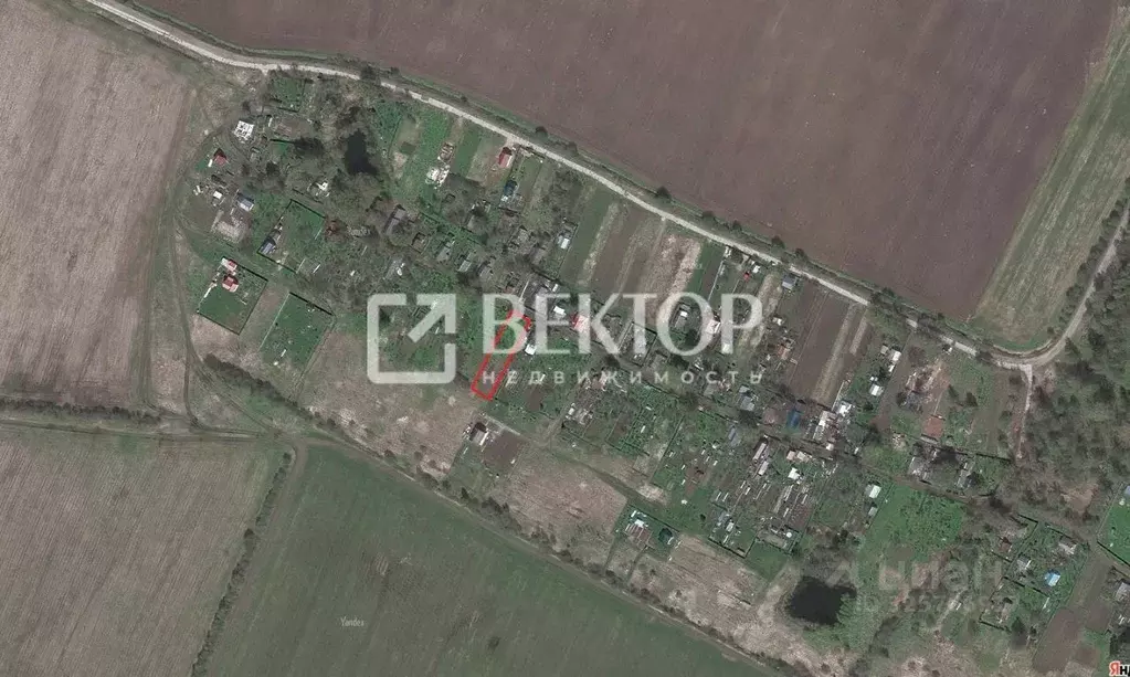 Участок в Ярославская область, Ярославский муниципальный округ, д. ... - Фото 2