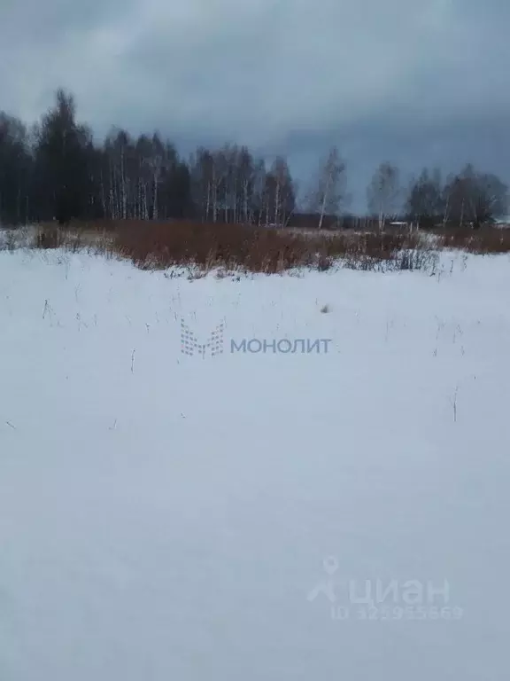 Участок в Нижегородская область, Богородский муниципальный округ, д. ... - Фото 1