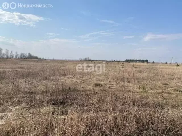 Участок в Тукаевский район, Малошильнинское сельское поселение, село ... - Фото 0