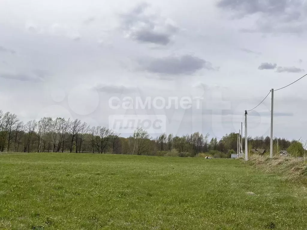 Участок 9,8 сот. (СНТ, ДНП) - Фото 1