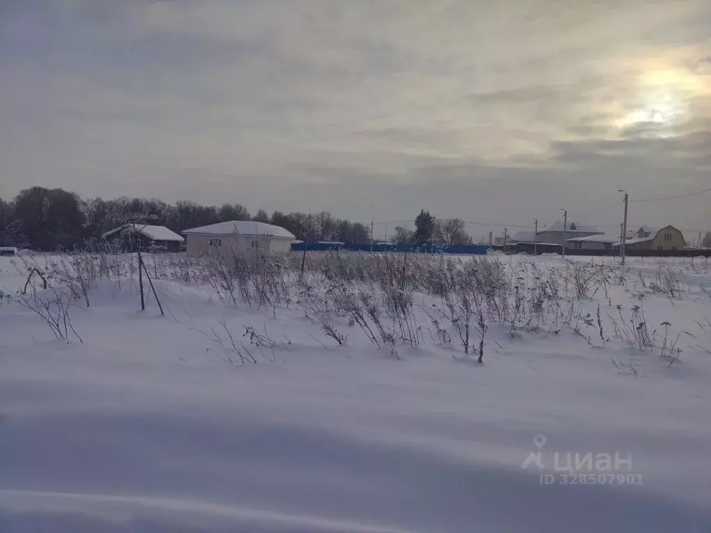 Участок в Московская область, Серпухов городской округ, с. Липицы ул. ... - Фото 1