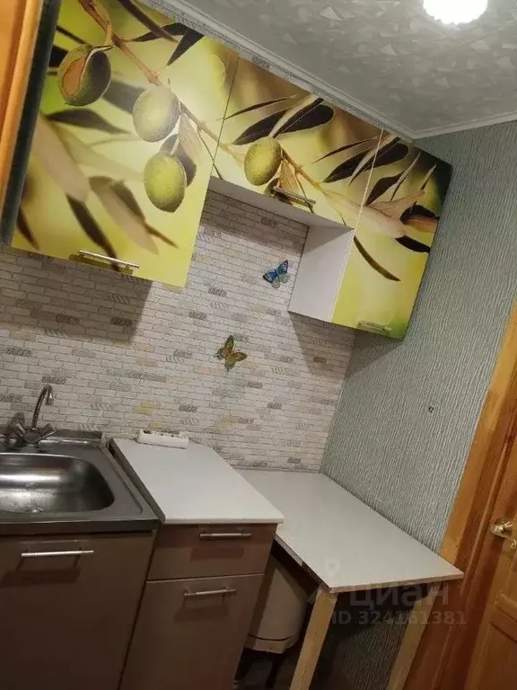 2-к кв. Липецкая область, Липецк Левобережная ул., 3 (23.5 м) - Фото 2