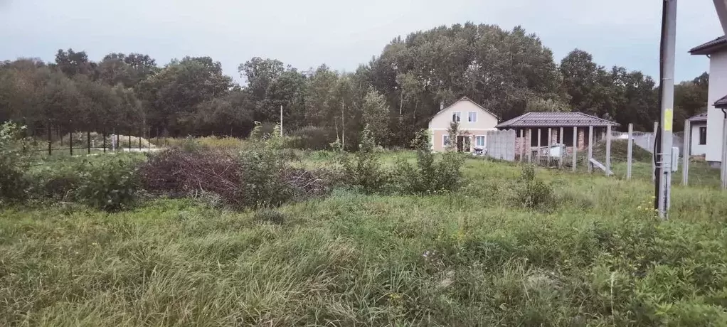 Участок в Калининградская область, Зеленоградский муниципальный округ, ... - Фото 0