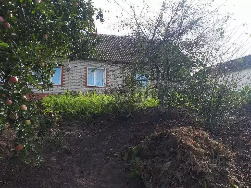 Дом в Орловская область, с. Тросна ул. Лебедева, 4 (96 м) - Фото 1
