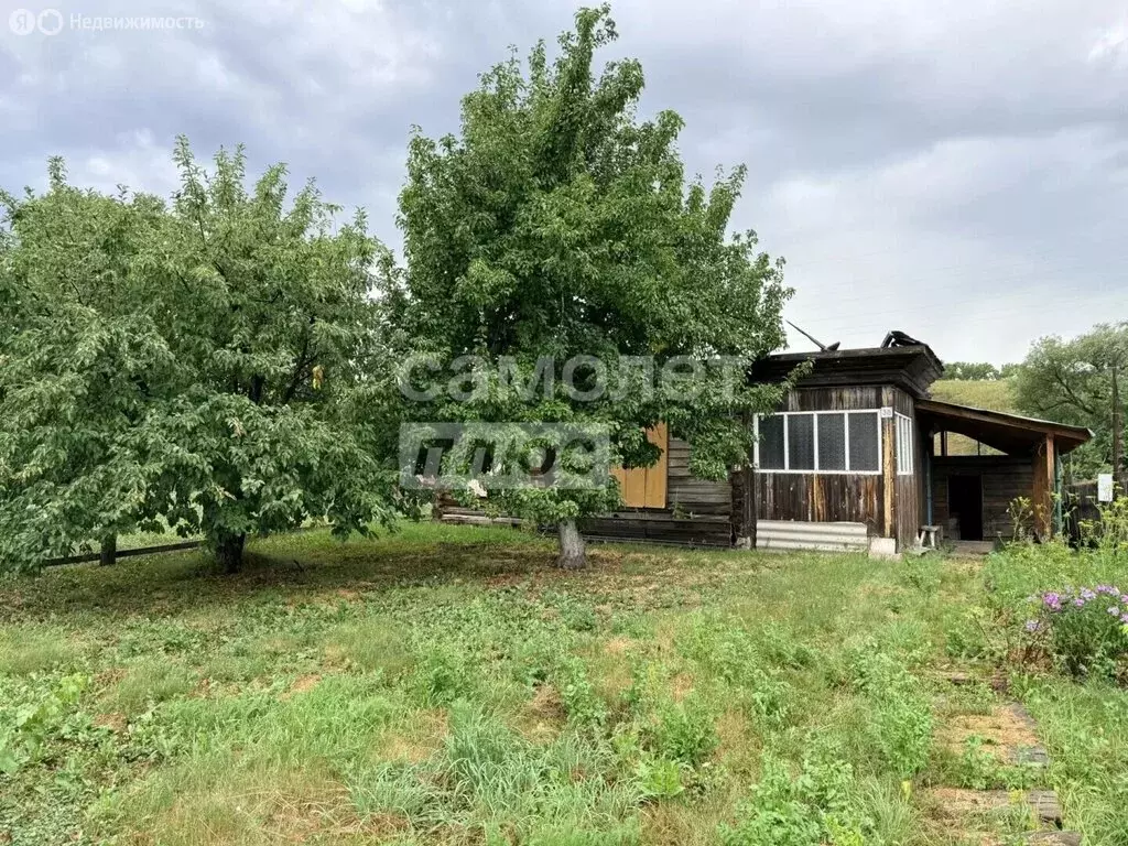 Участок в Белокуриха, Центральная улица, 38 (6.5 м) - Фото 2