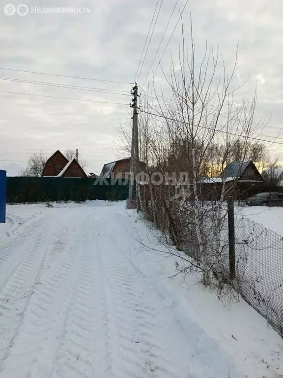 Участок в Новосибирский район, Морской сельсовет, садовое товарищество ... - Фото 0