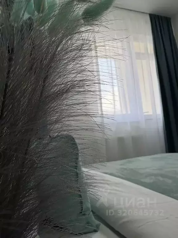 Студия Краснодарский край, Краснодар ул. Кирилла Россинского, 3/2 ... - Фото 2