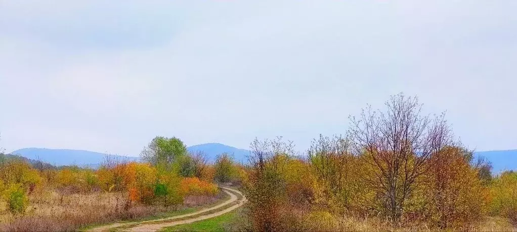 Участок в Краснодарский край, Северское с/пос, Новоалексеевский хут. ... - Фото 1