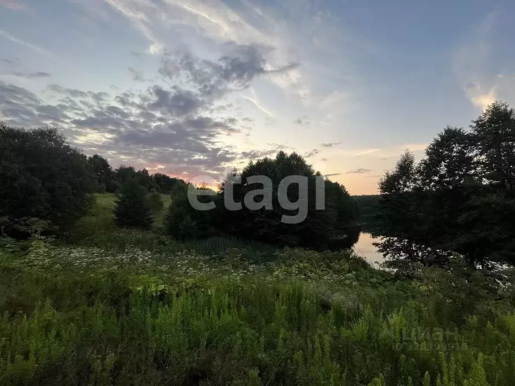 Участок в Тульская область, Дубенский район, Воскресенское с/пос, с. ... - Фото 1