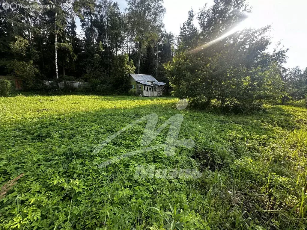 Участок в Старая Слобода, Сосновая улица (10.59 м) - Фото 1