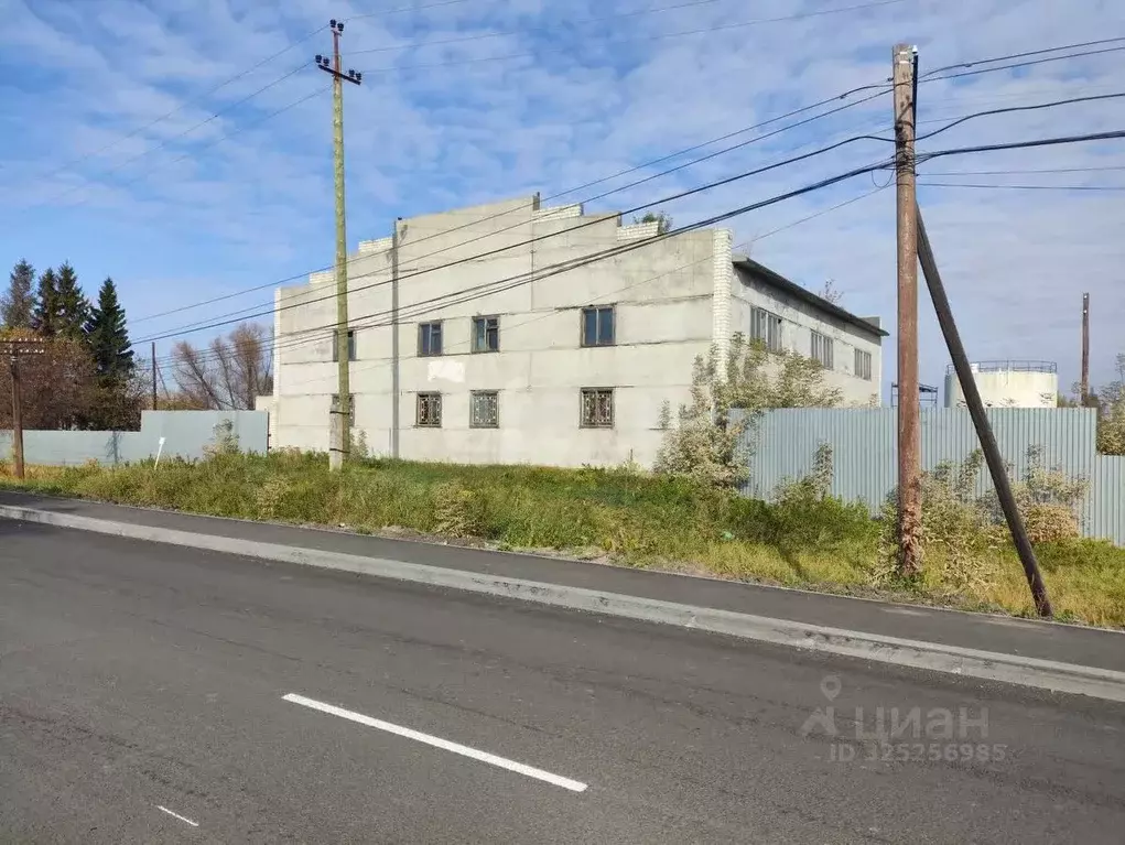 Склад в Курганская область, Варгаши рп ул. Кирова, 42 (445 м) - Фото 1