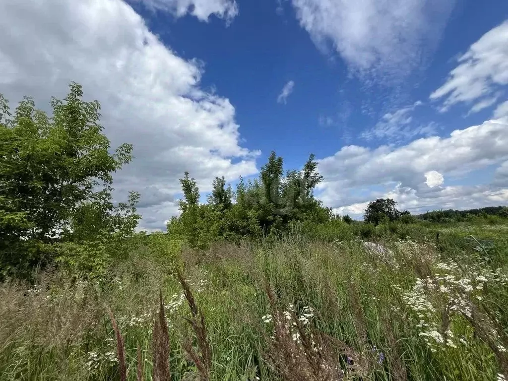 Участок в Брянская область, Брянский район, с. Глинищево  (10.0 сот.) - Фото 2