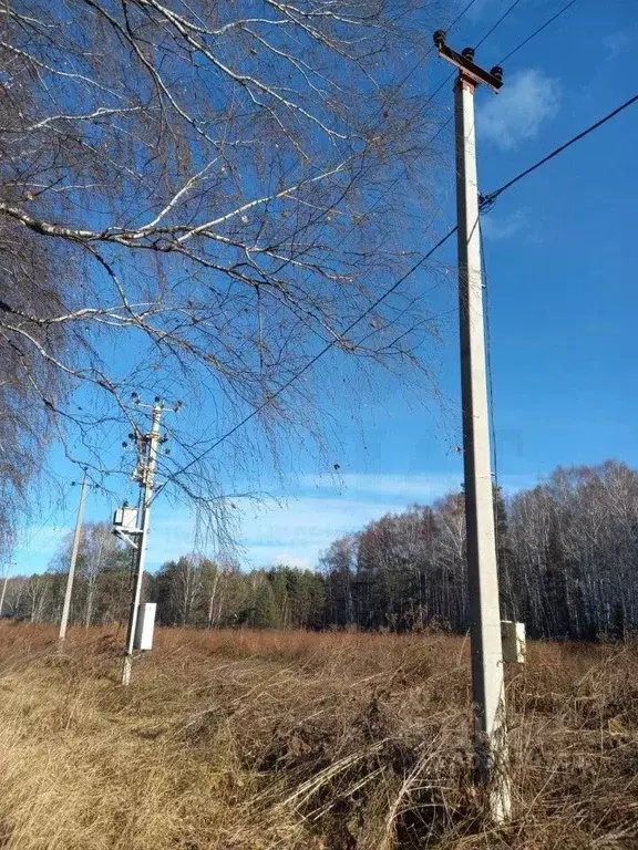 Участок в Свердловская область, Полевской городской округ, с. ... - Фото 0