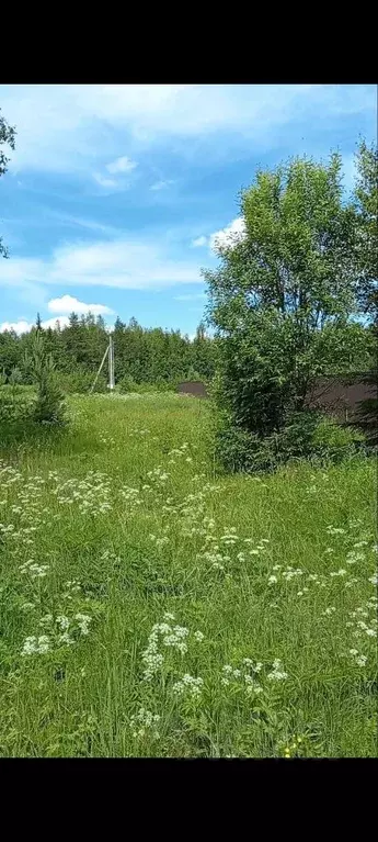 Участок в Московская область, Щелково городской округ, д. Малые ... - Фото 1