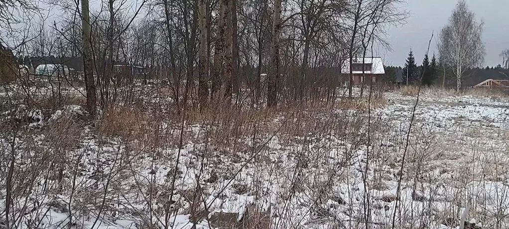 Участок в Московская область, Щелково городской округ, с. Петровское  ... - Фото 0