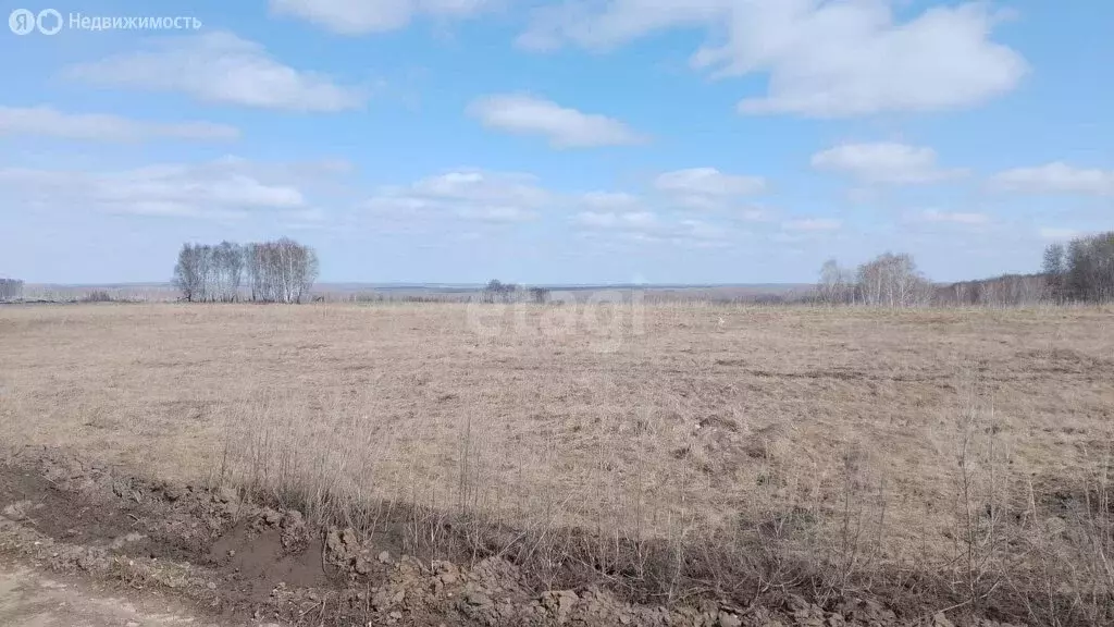 Участок в Колыванский район, Вьюнский сельсовет (12 м) - Фото 1