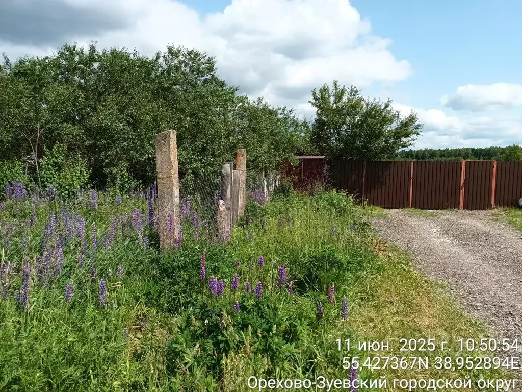 Участок в Московская область, Орехово-Зуевский городской округ, д. ... - Фото 0