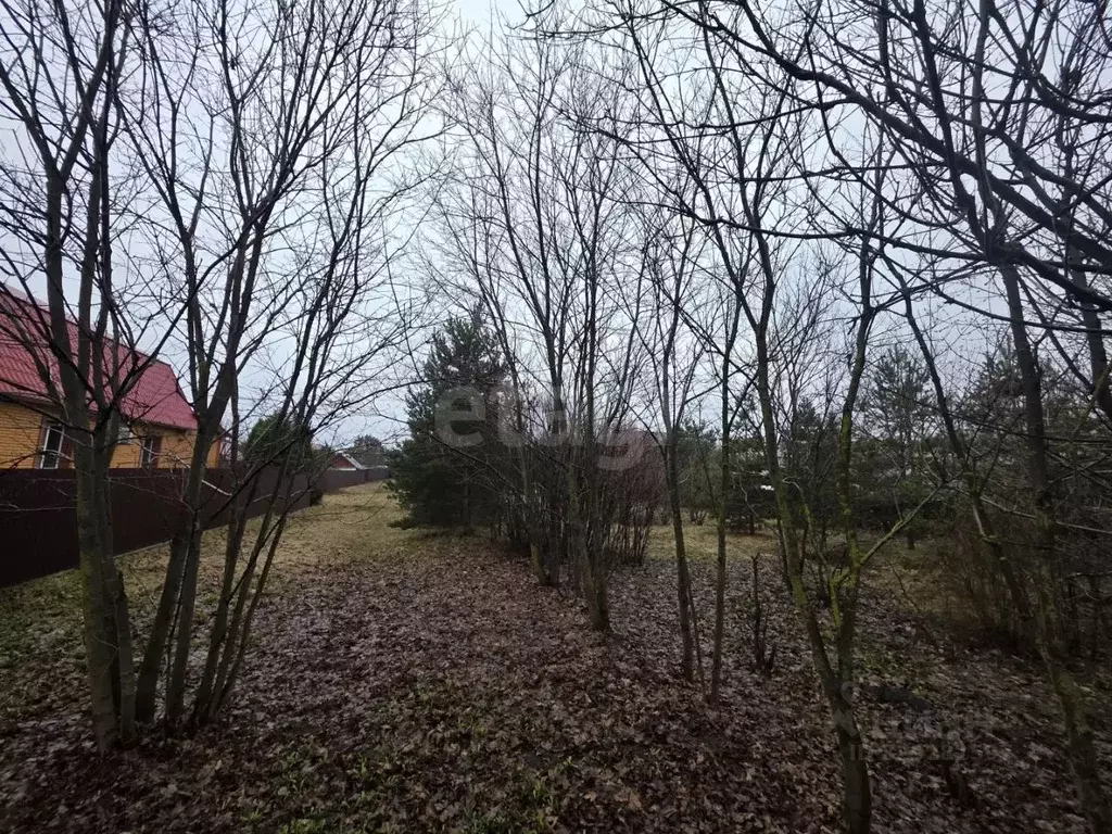 Участок в Владимирская область, Покров городской округ, д. Киржач ул. ... - Фото 1