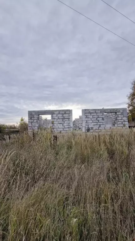 Дом в Владимирская область, Муром с. Чаадаево, ул. Муромская, 156 (50 ... - Фото 1