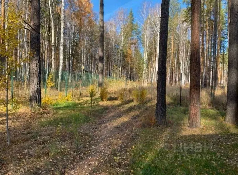Участок в Свердловская область, Сысертский муниципальный округ, ... - Фото 1