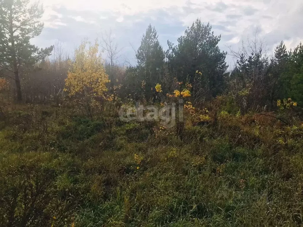 Участок в Свердловская область, Талица ул. Луначарского, 6А (1249.0 ... - Фото 0