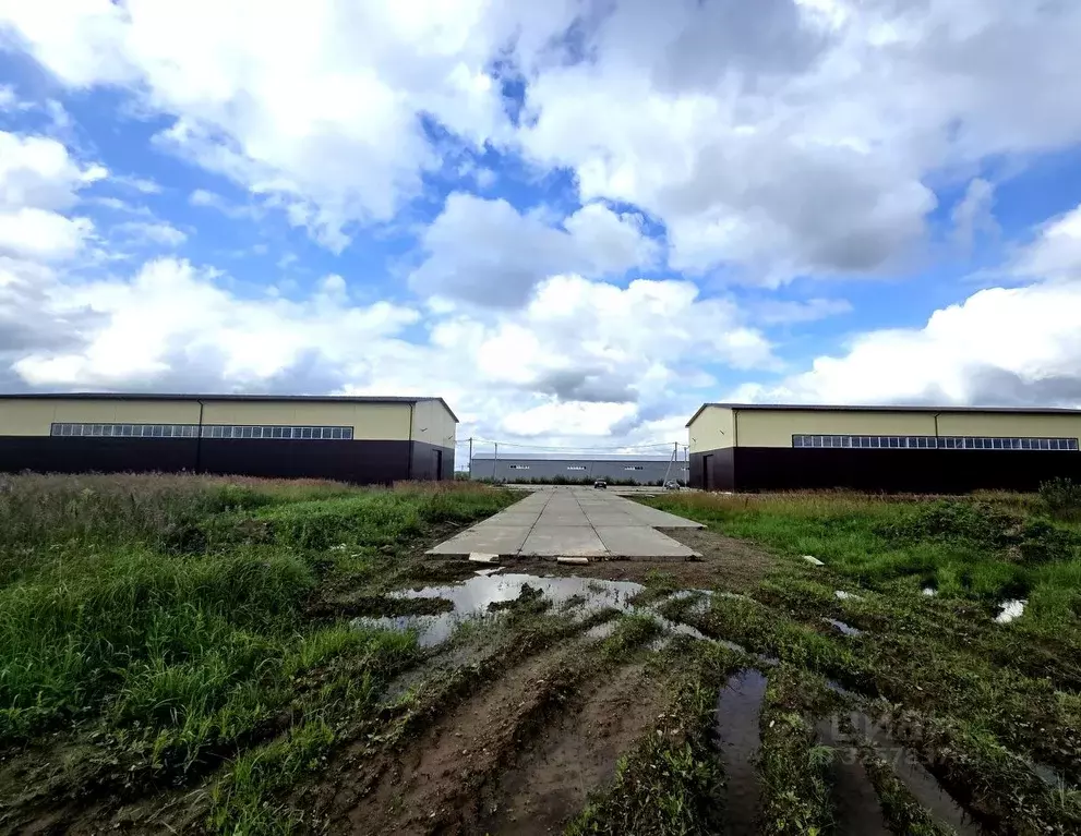 Склад в Московская область, Дмитровский муниципальный округ, с. ... - Фото 2