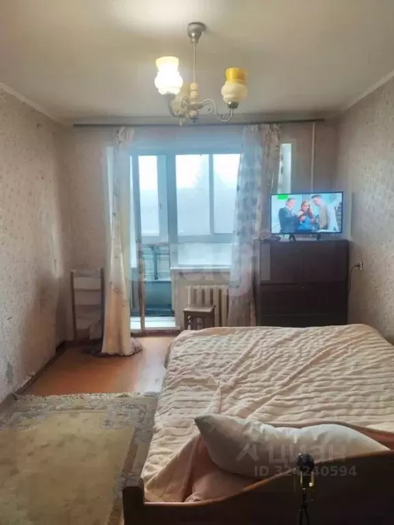 1-к кв. Московская область, Пушкинский городской округ, Правдинский ... - Фото 2