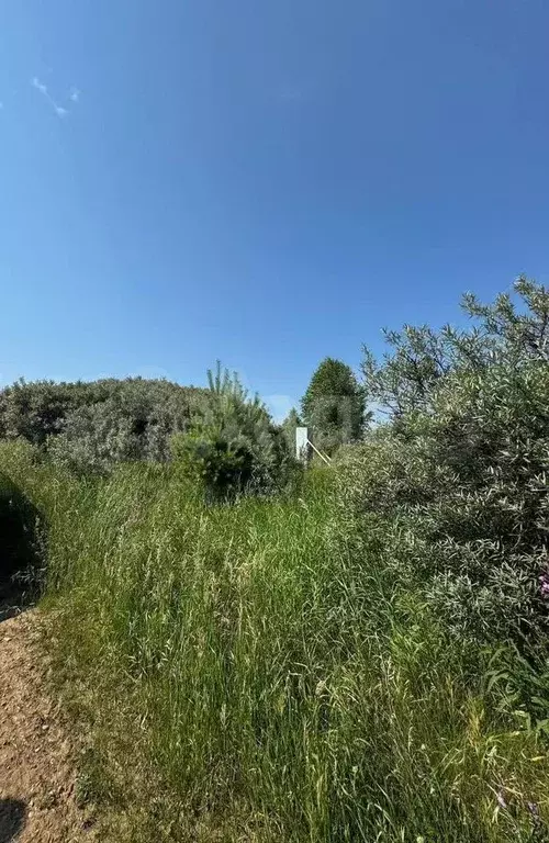 Участок 9,2 сот. (личное подсобное хозяйство (лпх)) - Фото 1